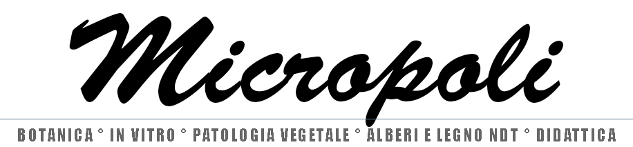 Micropoli Logo